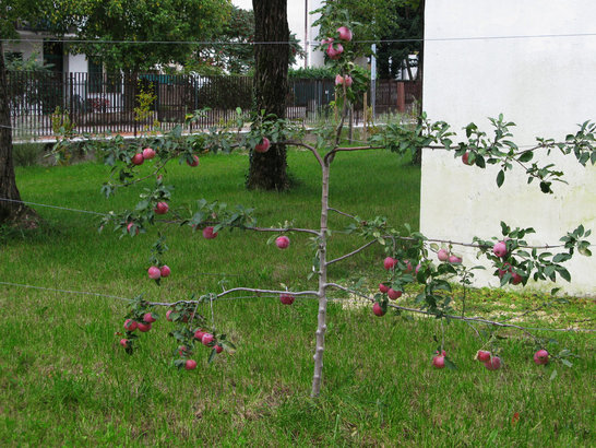 Giardino bambini 5